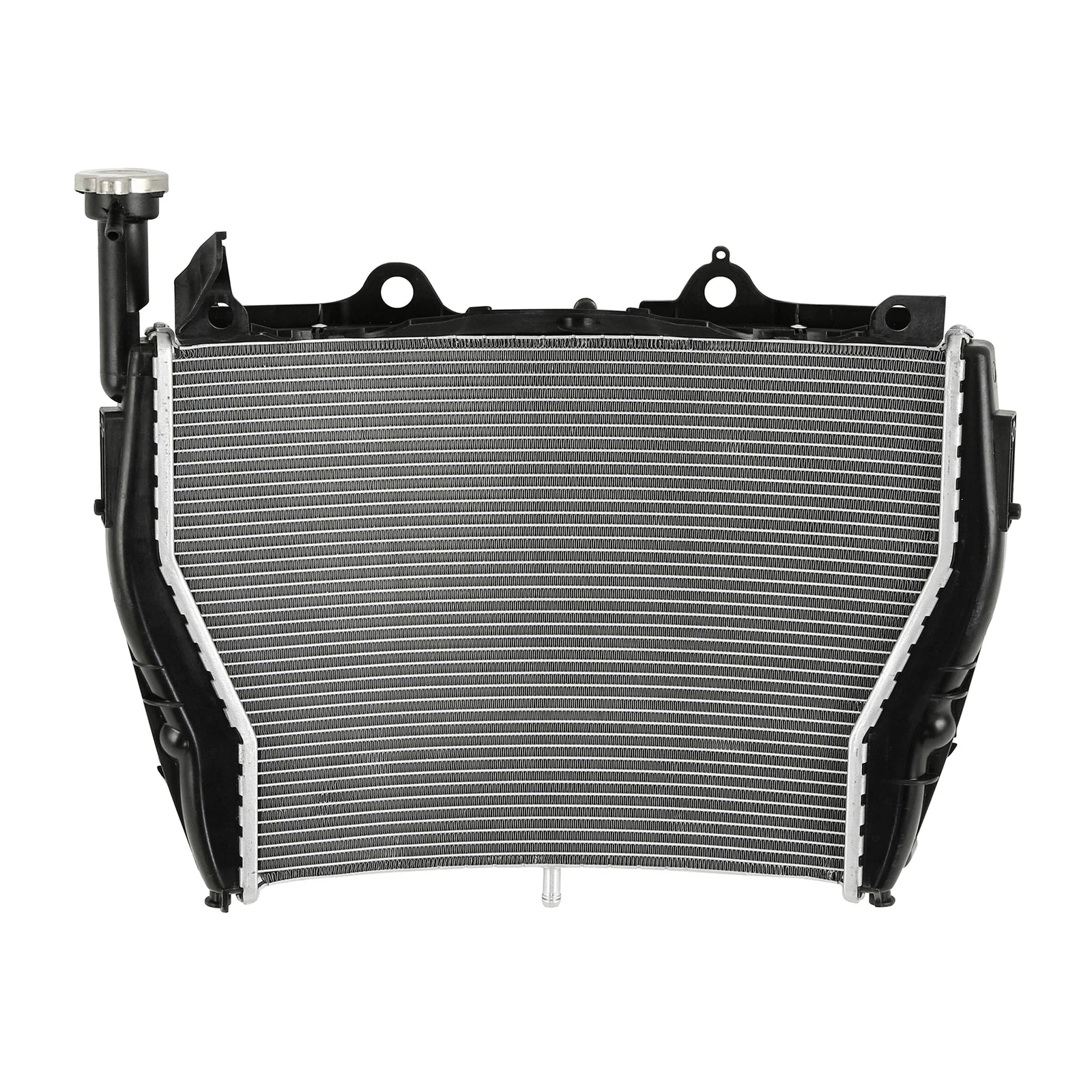 Radiator Cooler for BMW S1000RR HP4 RACE (2009–2018)