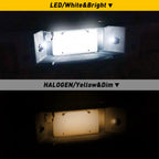 LED License Plate Light for Ford F-150/F250/F350 (1990–2014)