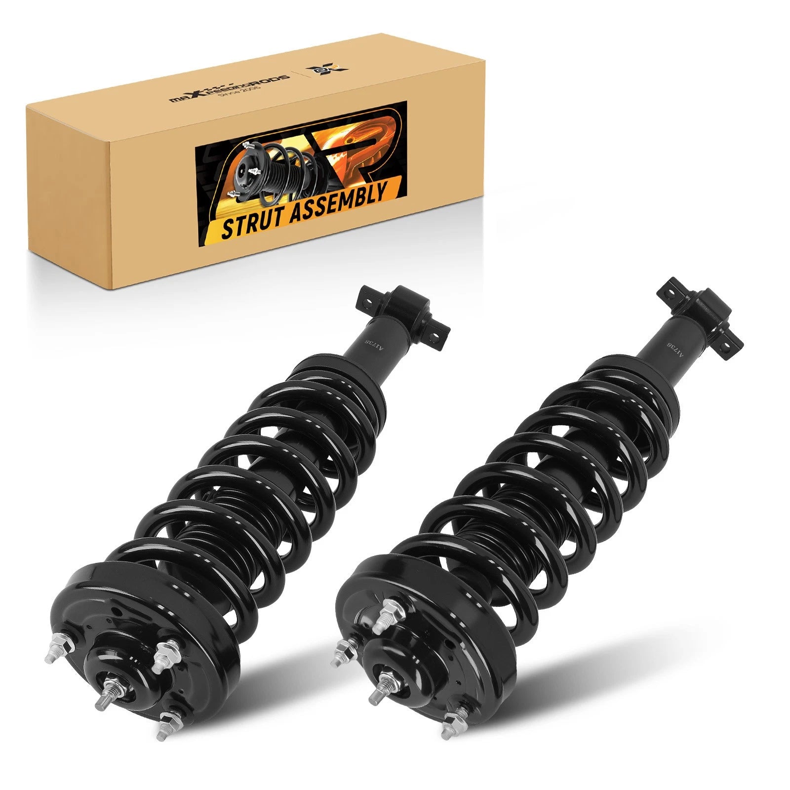 Set of 2 Front Strut Spring Assembly for Ford F-150 4WD (2015–2020)