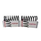 Heavy Duty Front Coil Spring Kit for Buick (4112151)