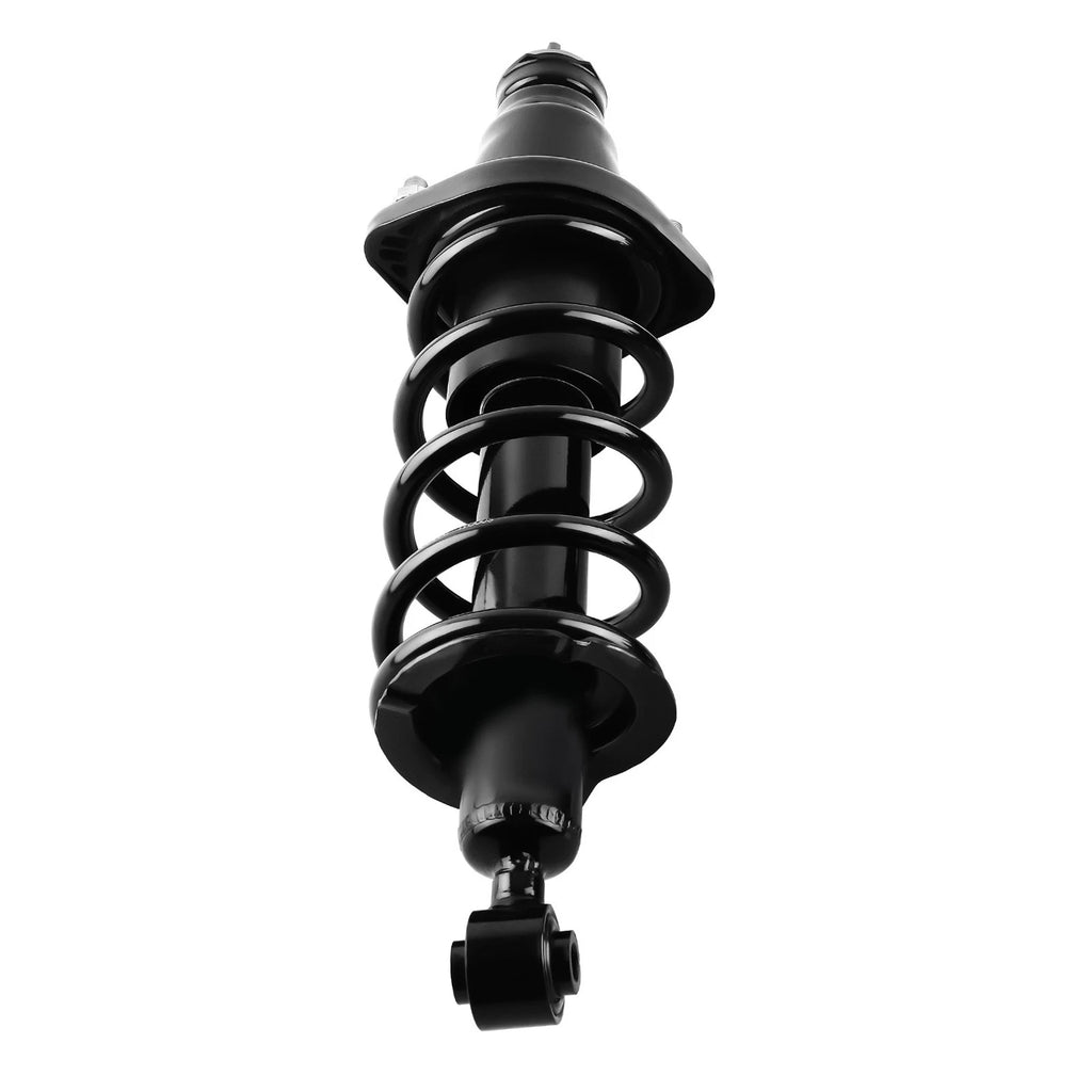 Rear Struts w/ Coil Spring Assembly for Honda Civic Si/LX/EX/DX (2001–2005)