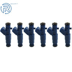 Set of 6 Fuel Injectors for Ford Falcon Fairlane LTD Territory (2005–2021)