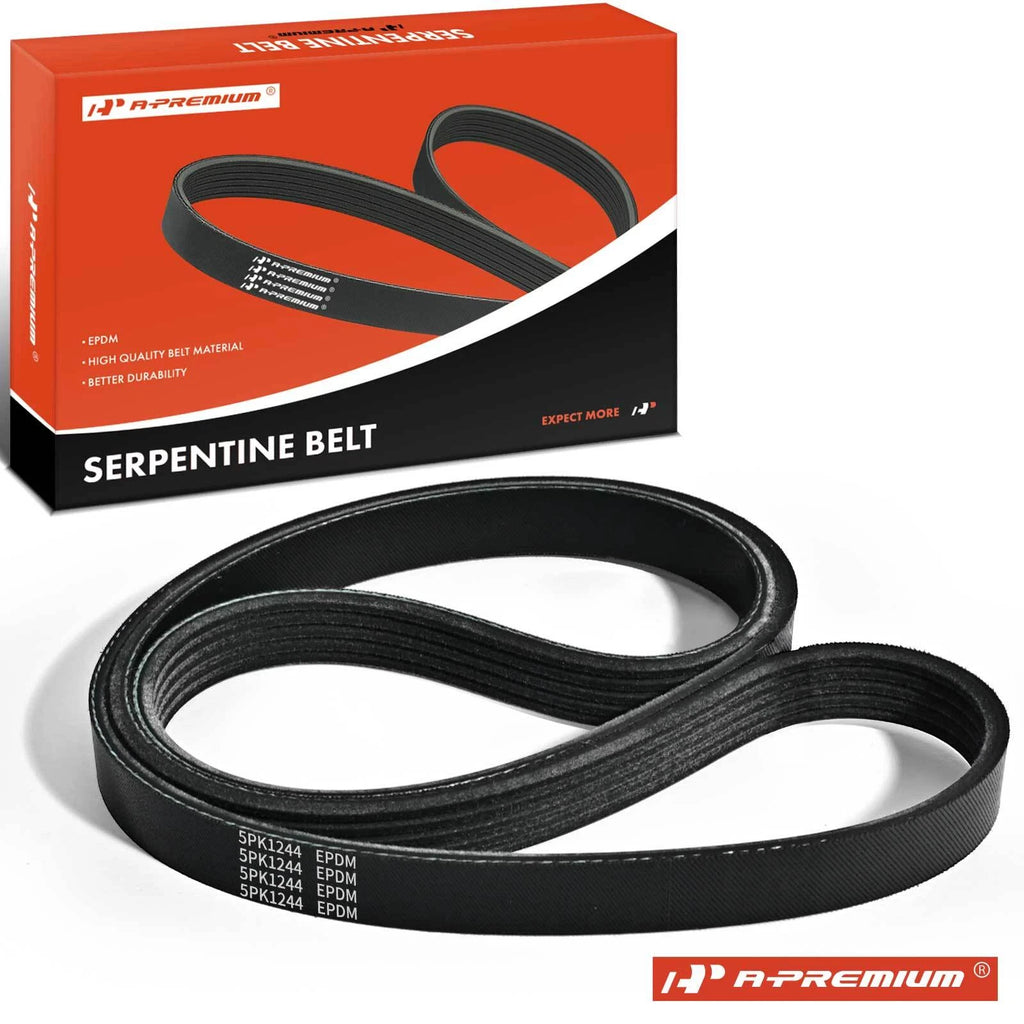 Serpentine Belt for Hyundai Elantra, Sonata 