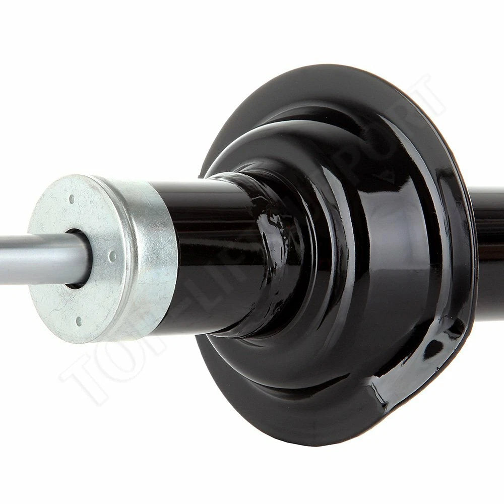2X Rear Shock Struts for Infiniti G20 (1991–2002)