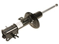 Front Left Strut Assembly for Suzuki Swift+ (2004–2006) DM995PX