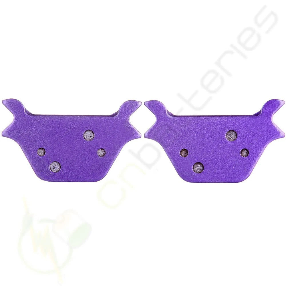 Rear Brake Pads for Harley-Davidson Custom XL1200C (1996–1999) Carbon Fiber