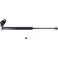 Lift Support Set for Nissan Versa (2007–2012) Driver & Passenger Side