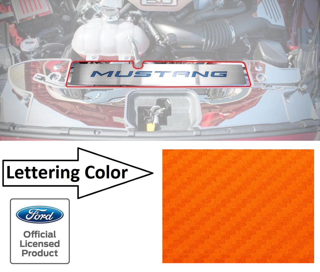 Stainless Radiator Cover Plate for 2015–2017 Ford Mustang GT
