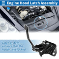 Hood Latch Assembly for Chevrolet Cobalt (2005–2010) No. 15236097