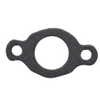 2X Carburetor for Tecumseh HM80 (YYYY–YYYY)