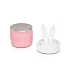 Angel Snow Scent Air Freshener for Car (Diax 90g)