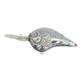 Reflective Holographic Lure for Fishing