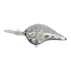 Reflective Holographic Lure for Fishing