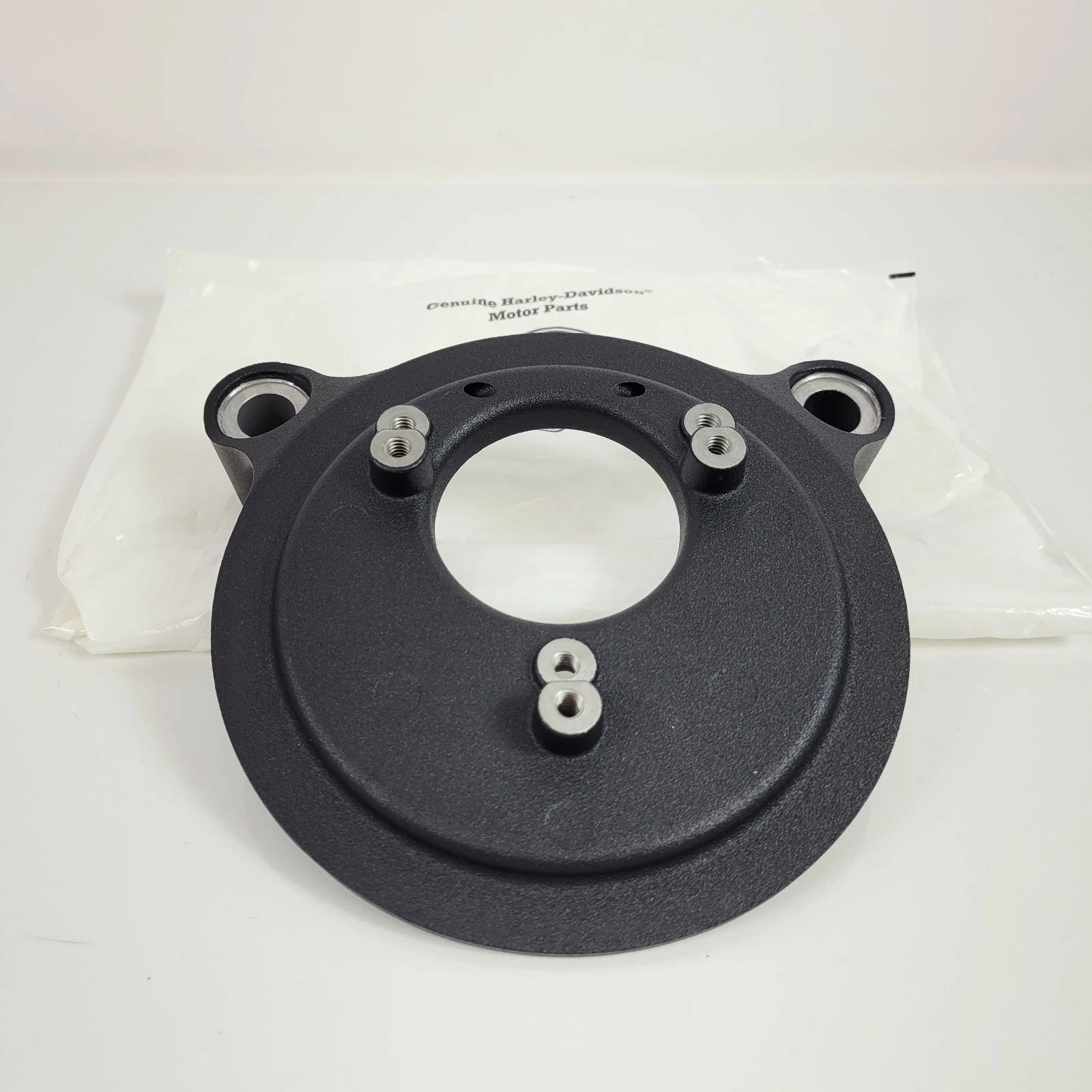 Screamin' Eagle Air Cleaner Backing Plate for Harley-Davidson (2008–2017)