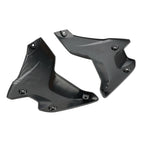 Side Frame Fairing Cowl Guards for BMW R1250GS (2018–2023) Carbon