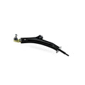 Front Lower Control Arm for Land Rover Freelander I (1997–2006)