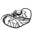 Standalone Wiring Harness for LS Swaps DBC 4.8 5.3 6.0 (1999–2006)