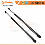 2X Rear Liftgate Lift Supports for Dodge Durango (2006–2009)