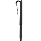 Liftgate Lift Support Shock Strut for Jeep Cherokee (2020)