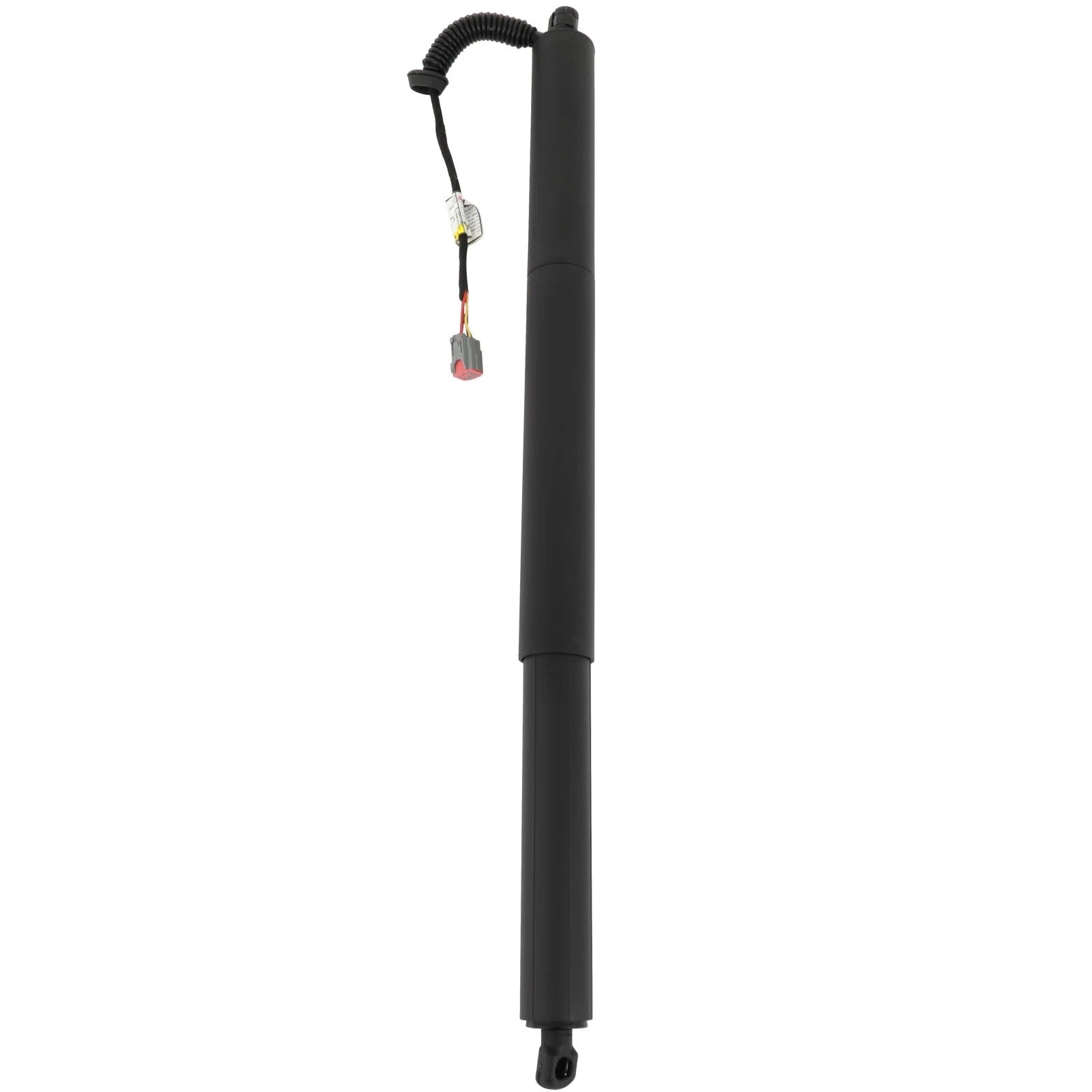Liftgate Lift Support Shock Strut for Jeep Cherokee (2020)