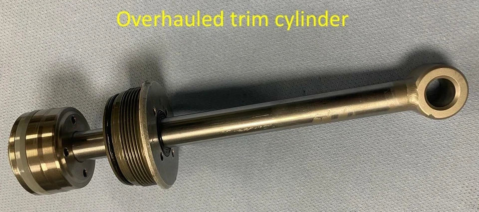 2X Trim Cylinder Repair Kit for Volvo Penta TSK DPH DPR (21840806)