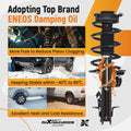Complete Struts & Coil Springs for Nissan Sentra (2014–2019) 191.6L 1.8L