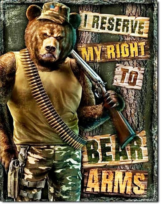 Vintage Tin Metal Sign for Bear Arm Rifle Gun Pistol Bullet (2023)