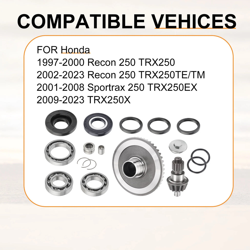 Rear Differential Rebuild Gears Kit for Honda Recon 250 TRX250 (2002–2023)
