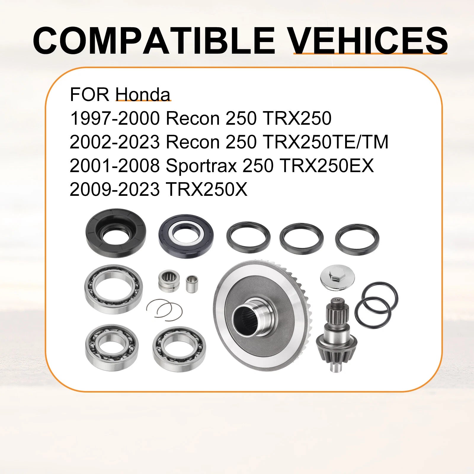Rear Differential Rebuild Gears Kit for Honda Recon 250 TRX250 (2002–2023)