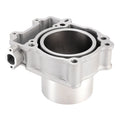 Cylinder Jug Piston Top End Kit 99mm for Segway Snarler AT6 (2019–2023)