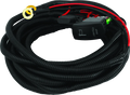 Whip Harness for 4 Seat DragonFire Racing (Single)