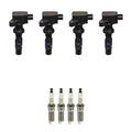 Set of 4 Ignition Coils & NGK Platinum Spark Plugs for Fusion Milan (2006–2012)
