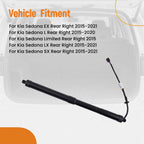 Tailgate Hatch Lift Support for Kia Sedona SX/SXL (2015–2021)