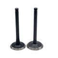 Exhaust Valve Set of 2 for EX17 EX21 (Compatible with Multiple Applications)