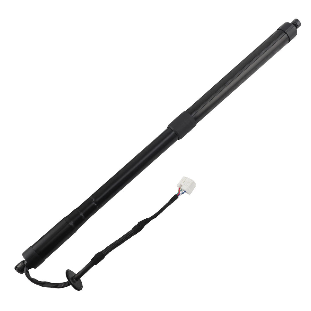 2X Rear Trunk Liftgate Struts for Nissan Rogue 2014–2019