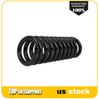2X Coil Spring Set for Dodge Charger, Magnum (2005–2010) Rear LH & RH