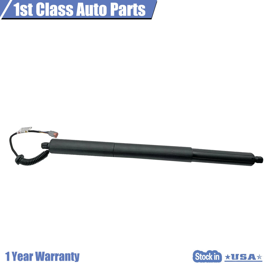 Power Hatch Lift Supports for Ford Edge (2015–2018)
