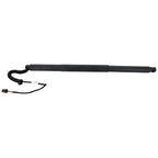 Liftgate Lift Supports for VW (Right/Left)