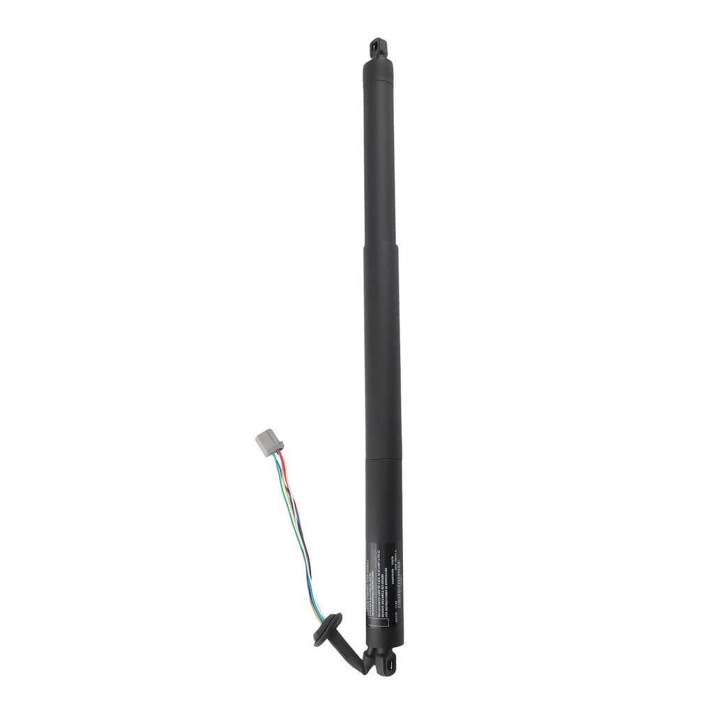 Set of 2 Rear Left Trunk Lift Support Shocks for Ford Explorer (2016–2019)