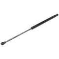 Set of 2 Liftgate Lift Supports for Hatchback Coupe