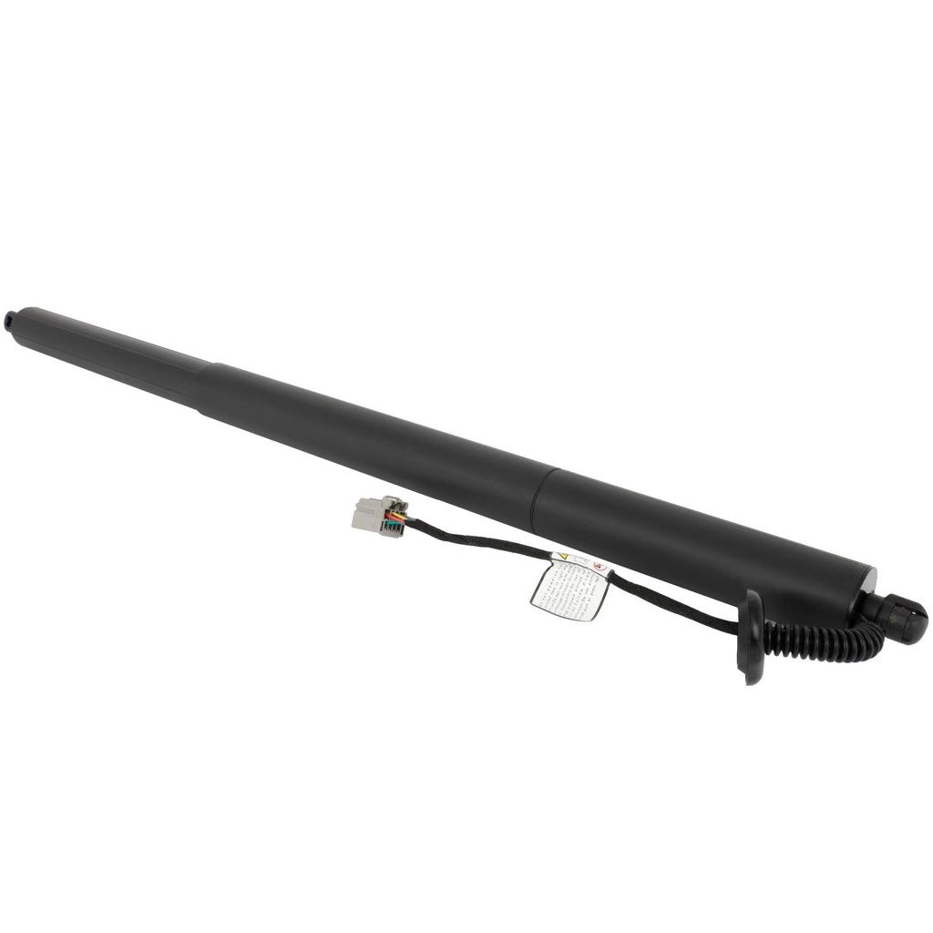 Liftgate Lift Support for Ford Kuga & Escape (2013–2019)