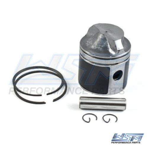 Piston Kit for Johnson Evinrude 9.9 15 Hp (100-99K)