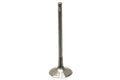 Engine Intake Valve 06D109601M for Volkswagen (2006–2010)