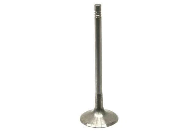 Engine Intake Valve 06D109601M for Volkswagen (2006–2010)