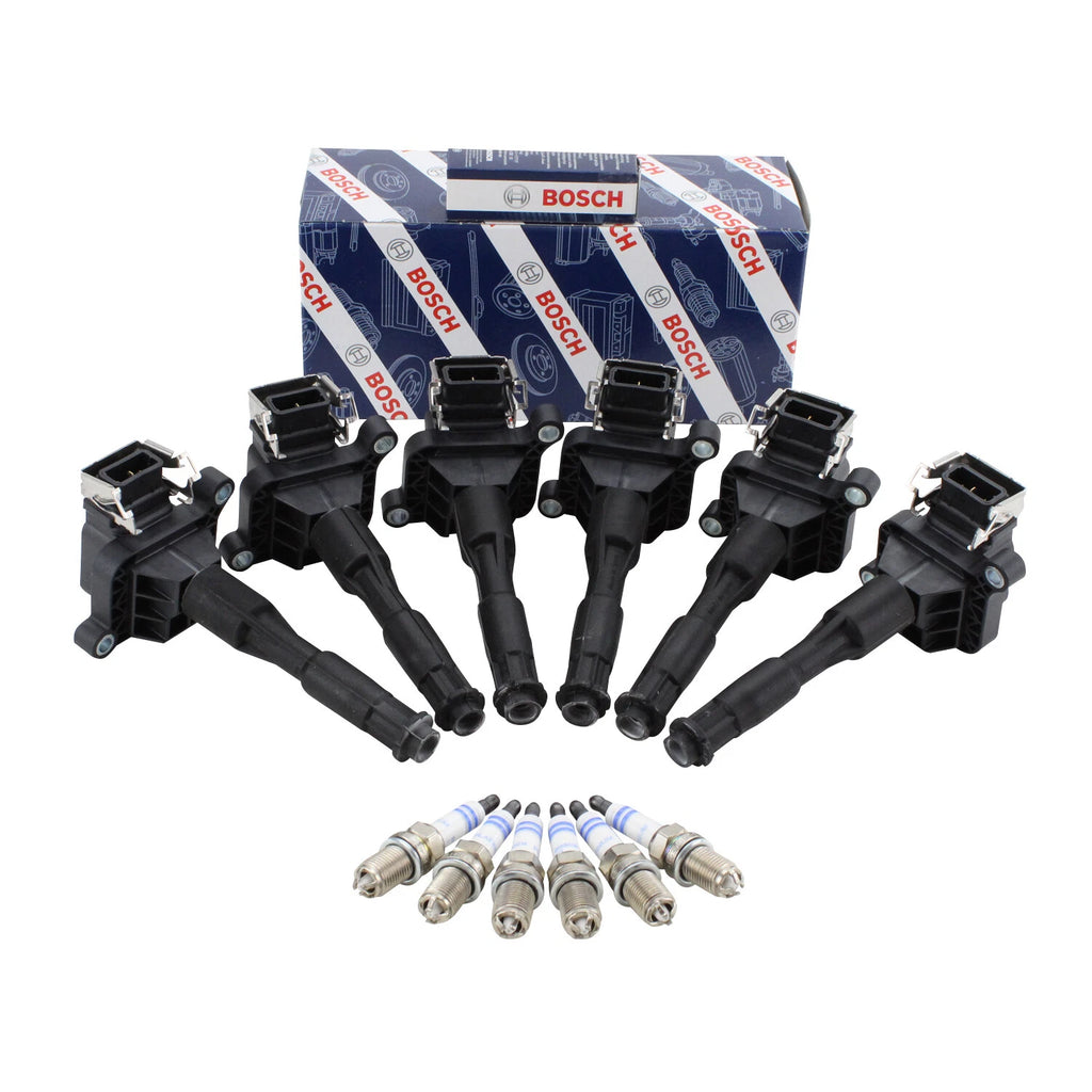 Set of 6 Ignition Coils & Platinum Spark Plugs for BMW E36 E39 E46 (1998–2006)