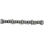 Stage 2 Camshaft for Chevy LS LS1 (1997-2004)