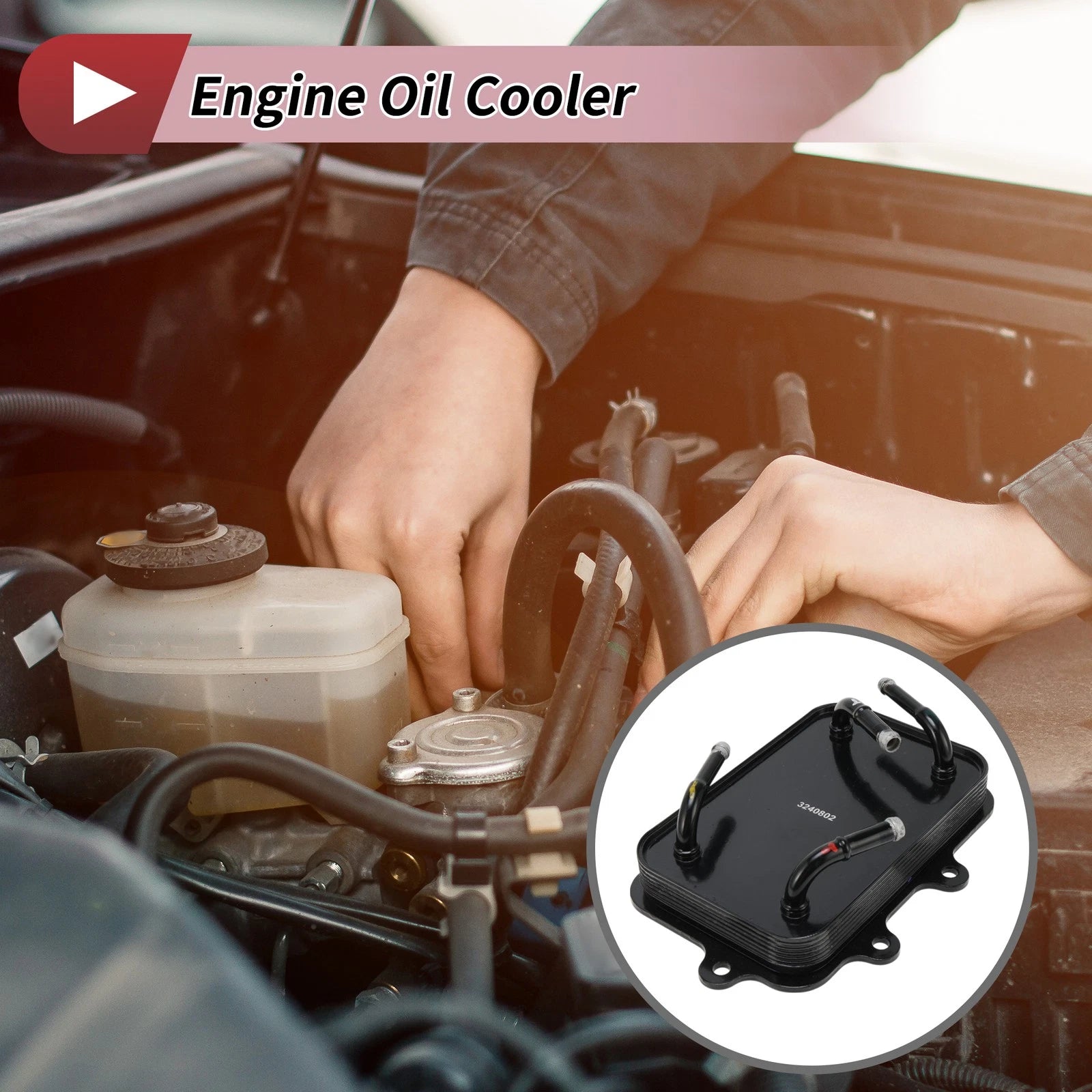 Engine Oil Cooler No. 256204R000  