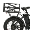 Large Rear Rack Bike Basket for Electric Bike (ECOTRIC)