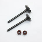 Intake Exhaust Valves for PIT PRO TRAIL DIRT BIKE (YX 140cc)