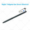 Set of 2 Tailgate Gas Struts for Mercedes Benz ML350 (W166)